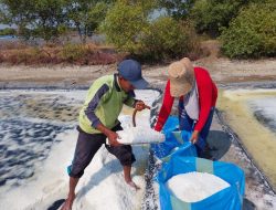 Pemkab Pasuruan Optimis Produksi Garam Capai Target Kebutuhan