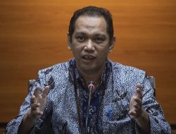 KPK Usut Pengadaan Sapi, ada PT Sumekar Nurani Madura, Diduga Libatkan Anggota DPR Inisial AA dan RM