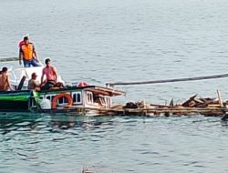 32 Ekor Sapi Tenggelam di Luatan Sumenep