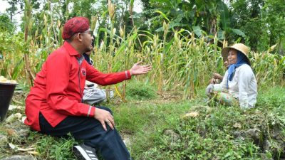 Pemkab Sumenep Siapkan Asuransi Ketenagakerjaan Gratis bagi Petani Tembakau