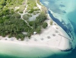 PT Balad: Pemain Utama dalam Industri Lobster