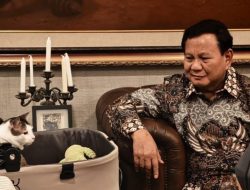Ini Hasil Kerja Prabwo Selama Tiga Bulan, Mulai Dari BMM Hingga Biaya Haji