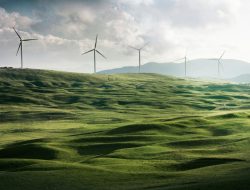 Eco Green: Konsep dan Penerapannya dalam Kehidupan Sehari-hari