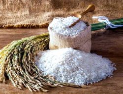 Ketersediaan Stok dan Kebutuhan Beras Nasional