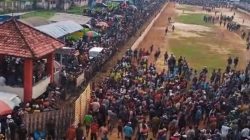 Karapan sapi di Madura